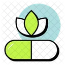 Plant Leaves Eco Leaves Leaves Logo Icon
