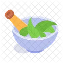 Herbal Medicine Natural Icon