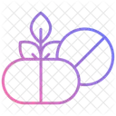 Herbal Pill Medicine Herbal Medicine Icon