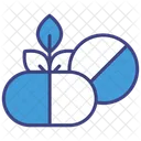 Herbal Pill Medicine Herbal Medicine Icon