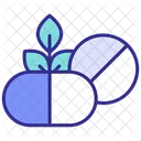 Herbal Pill Medicine Herbal Medicine Icon