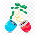 Herb Stickers Herbal Therapy Herbal Remedies Icon