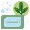 Herbal Soap Soap Cleansing Icon