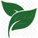 Herbal Spa Treatment Leaves  Icon
