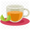 Herbal Tea Tea Green Tea Icon