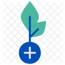 Herbal Treatment  Icon