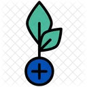 Herbal Treatment Icon
