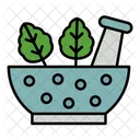 Herbal Medicine Herbal Product Beauty Treatment Icon