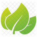 Herbal Willow Leaves Leaves Leaves Logo Icon