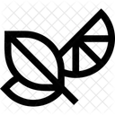Herbaltreatment  Icon