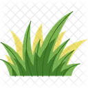 Herbe  Icône