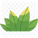 Herbe  Icône