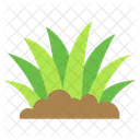 Herbe  Icône