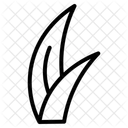  Icône