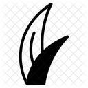  Icône