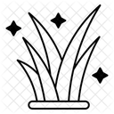  Icône