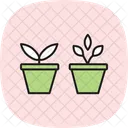 Herbes En Pots Ícone