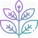 Herbs Icon