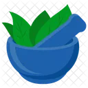 Herbs Bowl Herbal Medicine Herb Storage Icon