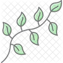 Herbs Garden Plants Icon