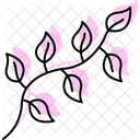 Herbs Garden Plants Icon