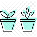 Herbs In Pots Herbs Pots Icon