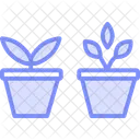 Herbs In Pots Herbs Pots Icon