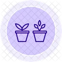 Herbs In Pots Herbs Pots Icon