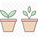 Herbs In Pots Herbs Pots Icon