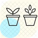 Herbs In Pots Herbs Pots Icon