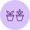 Herbs In Pots Herbs Pots Icon
