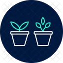 Herbs In Pots Herbs Pots Icon