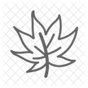 Blatt Pflanze Baum Symbol