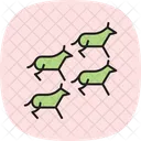Herd Moving Slowly Herd Moving Icon