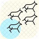 Herde Bewegt Sich Langsam Herde Bewegt Sich Symbol