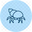 Hermit Crab Hermit Crab Icon