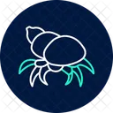 Hermit Crab Hermit Crab Icon