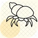 Hermit Crab Hermit Crab Icon