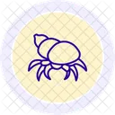 Hermit Crab Hermit Crab Icon