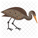 Ardeidae Heron Bittern Icon