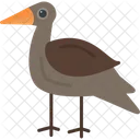 Heron Animal Bird Icon