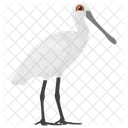 Herons Feather Creature White Herons Icon