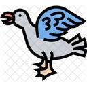 Herring Gull Bird Icon