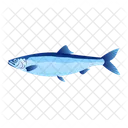 Herring Fish  Symbol