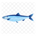 Herring Fish  Icône