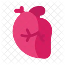 Herz Organ Transplantation Symbol