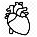 Herz Mensch Organ Symbol