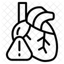 Herzkrankheit Herz Medizin Symbol