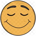 Smiley Surpris Heureux Icône