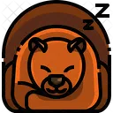 Hibernation  Icon
